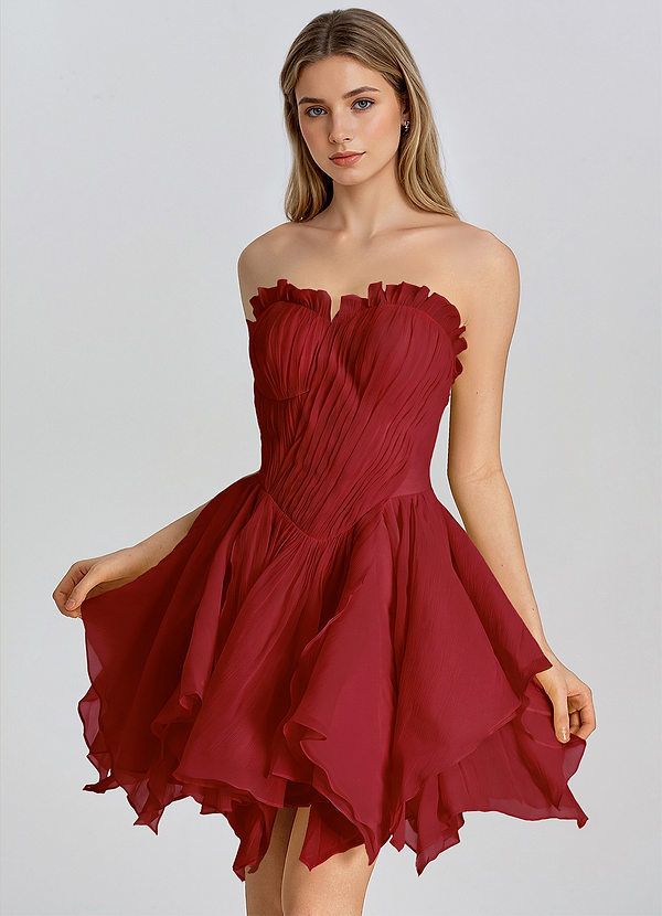 Lioraelle Burgundy A-Line Chiffon Mini Dress image1