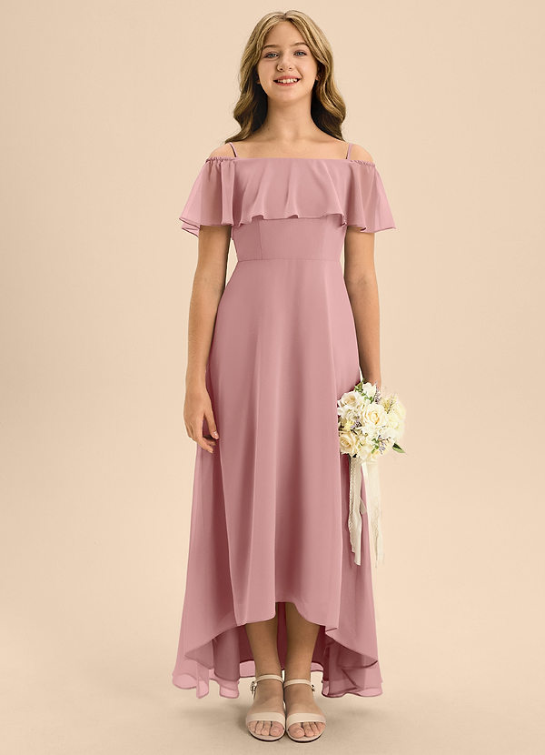 Azazie Maggie Junior Dusty Rose A-Line Off the Shoulder Chiffon Dress image1