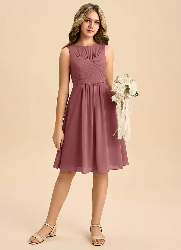 Azazie Skyla Junior Vestido de Amatista de Gasa de Corte en A con Plisado image1