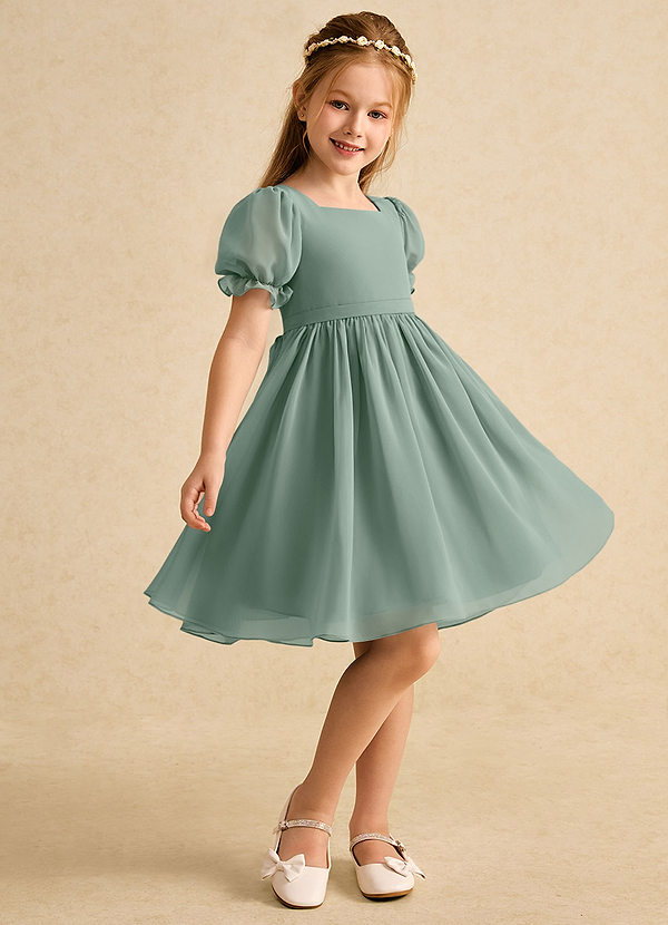 Azazie Jolie Blumenkinder Kleider A-Linie mit ärmel Chiffon Kleid Silberner Salbei image1