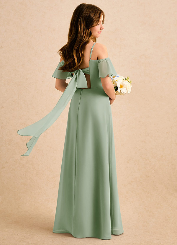 Azazie Robyn Girls Formal Sukienki dla dziewczynek sypiących kwiaty Linia A Dekolt w kształcie serca Szyfon Długość podłogi Sukienka image1