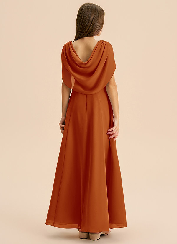 Azazie Lambie Junior Paprika A-Line Pleated Chiffon Dress image1