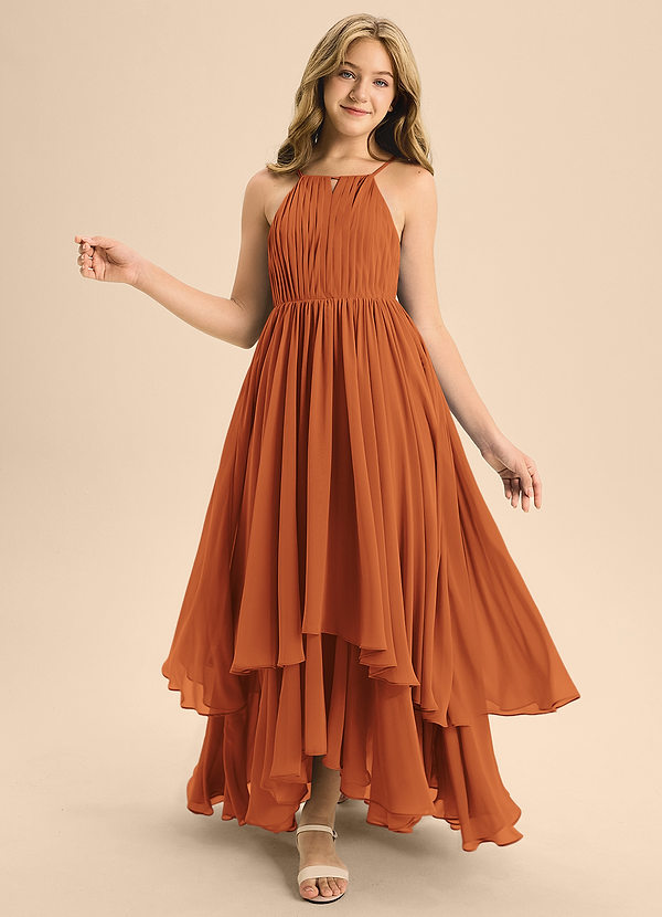 Azazie Elliora Junior Cinnamon A-Line Pleated Chiffon Dress image1