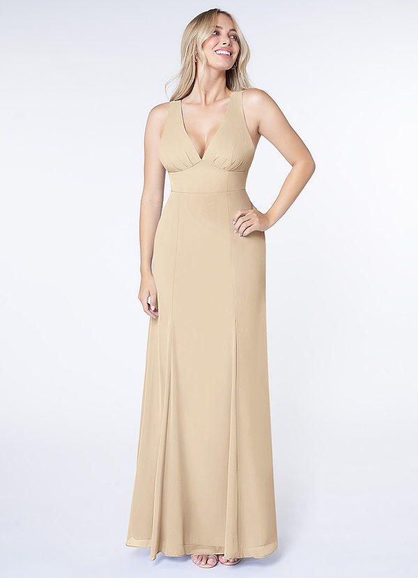 Azazie Christiana Bridesmaid Dresses A-Line V-Neck Pleated Chiffon Floor-Length Dress image1
