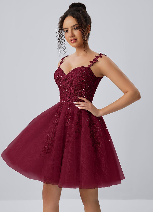 Raphinase Bourgogne Robe mini trapèze à lacets, corset en dentelle et tulle orné de perles image1
