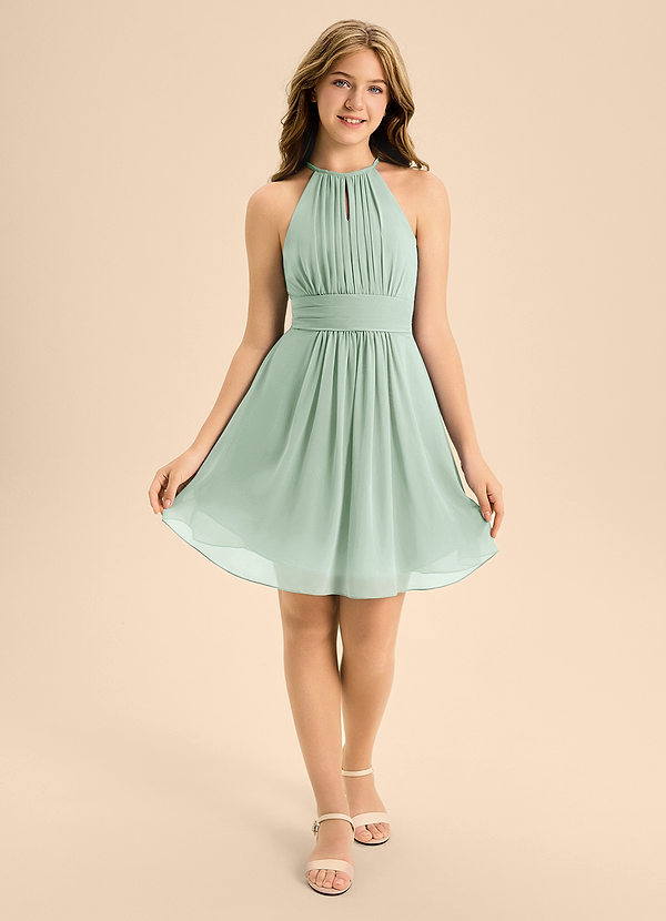Azazie Bonnie Junior Agave A-Line Pleated Chiffon Dress image1