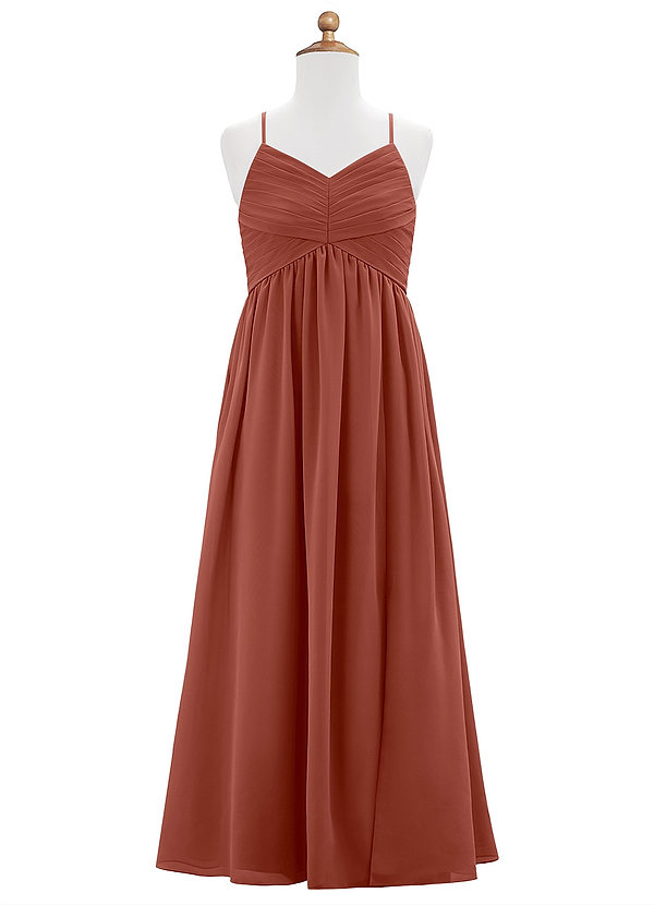 Azazie Alia Junior Auburn A-Line Pleated Chiffon Dress image1