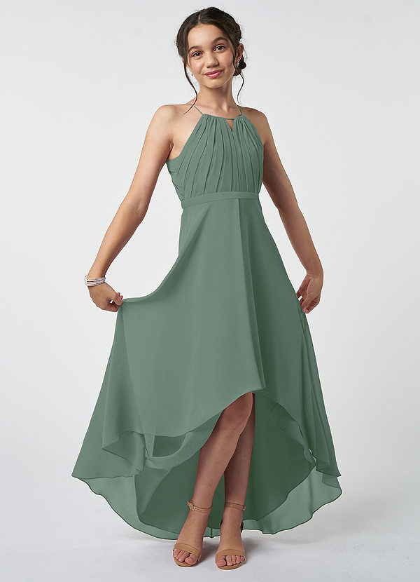 Azazie Oaklynn Junior Eucalyptus A-Line Pleated Chiffon Dress image1