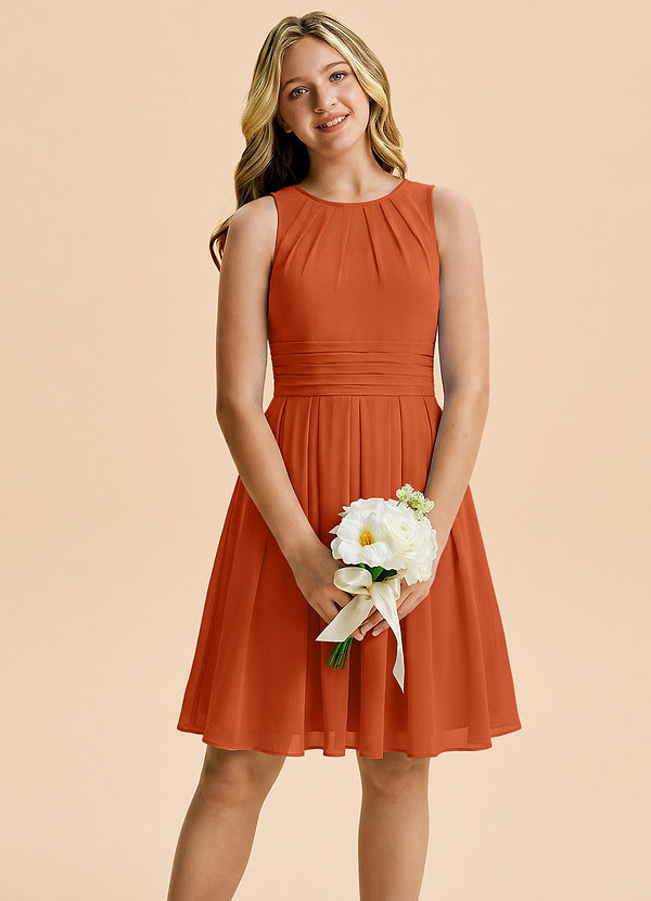Azazie Bibiane Junior Burnt Orange A-Line Pleated Chiffon Dress image1