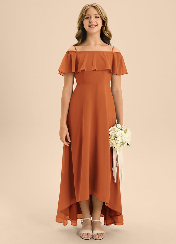 Azazie Maggie Junior Cinnamon A-Line Off the Shoulder Chiffon Dress image1