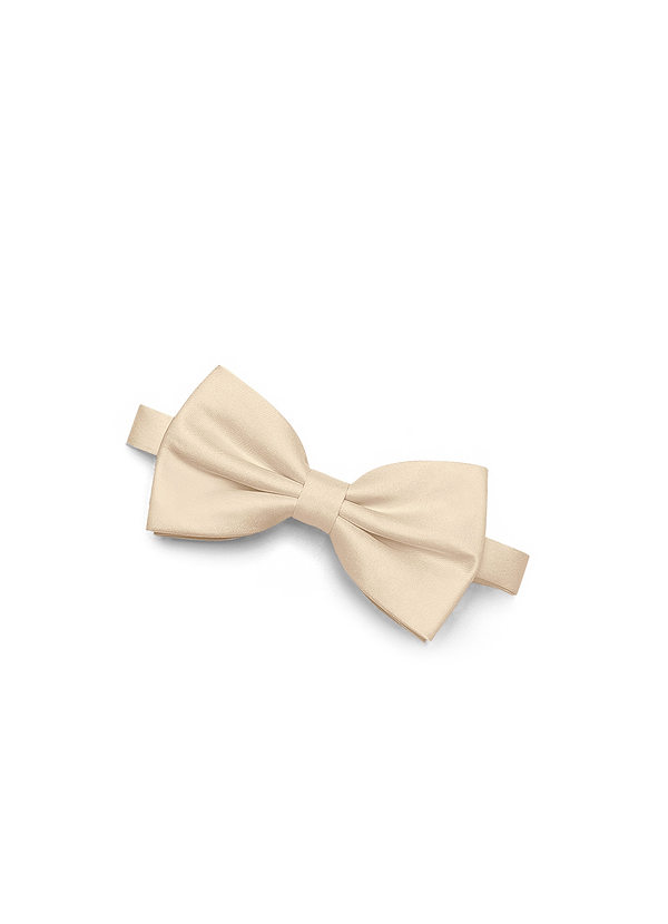 front Matte Satin Pre-Tied Bow Tie