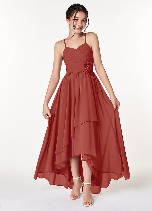 Azazie Catalina Junior Terracotta A-Line Ruched Chiffon Dress image1