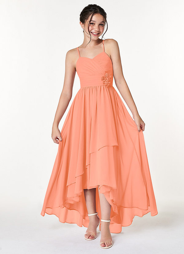 Azazie Catalina Junior Sunset A-Line Ruched Chiffon Dress image1