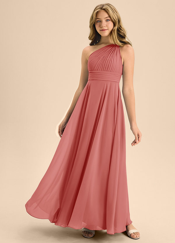 Charlize Junior Antique Rose A-Line Pleated Chiffon Dress image1