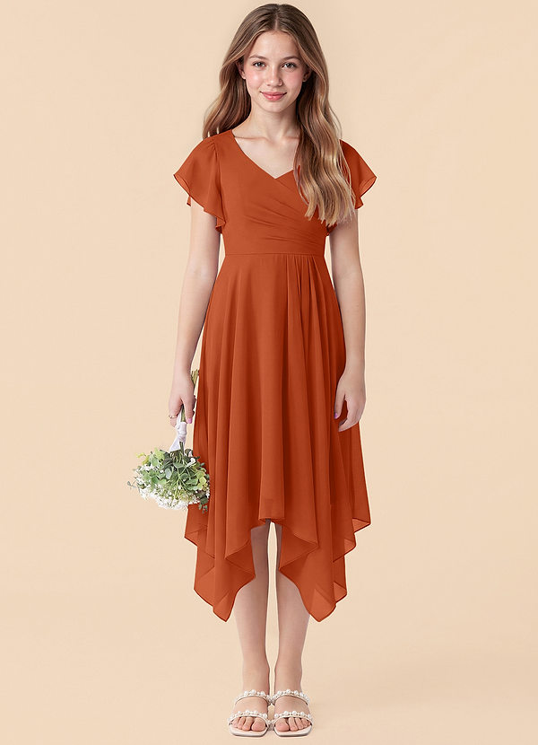 Azazie Janeaurelia Junior Burnt Orange A-Line Pleated Chiffon Dress image1