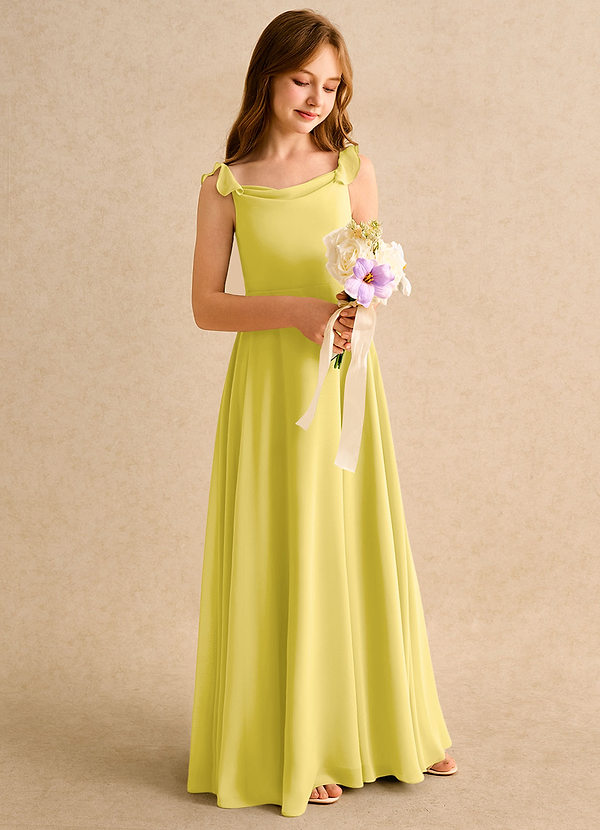 Azazie Puppy Girls Formal Flower Girl Dresses Canary A-Line Pleated Chiffon Dress image1
