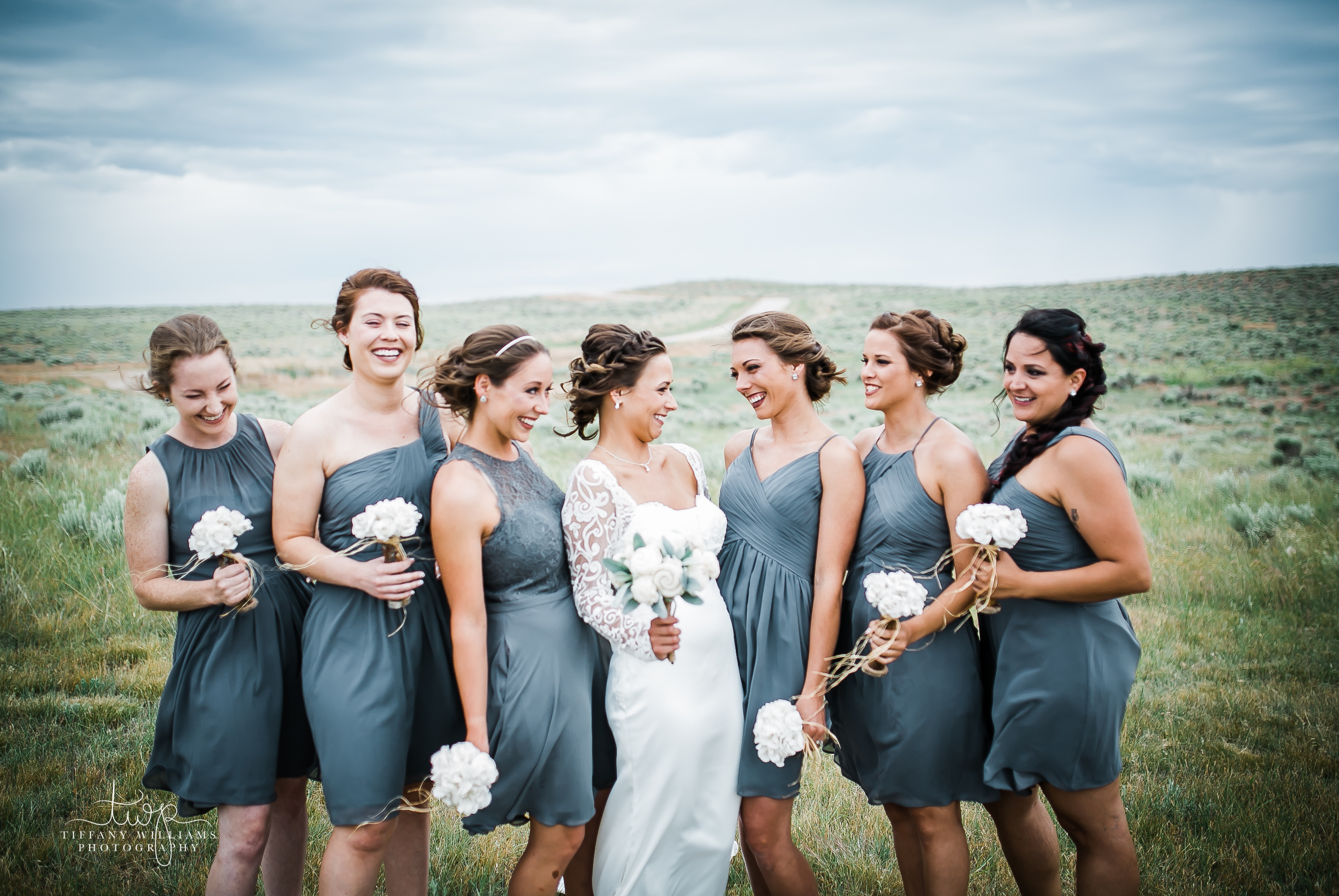 azazie and david's bridal color match
