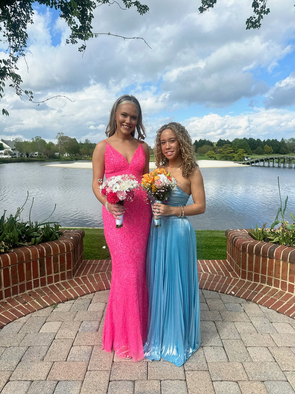 Eileen Rose Quartz Gown Azazie