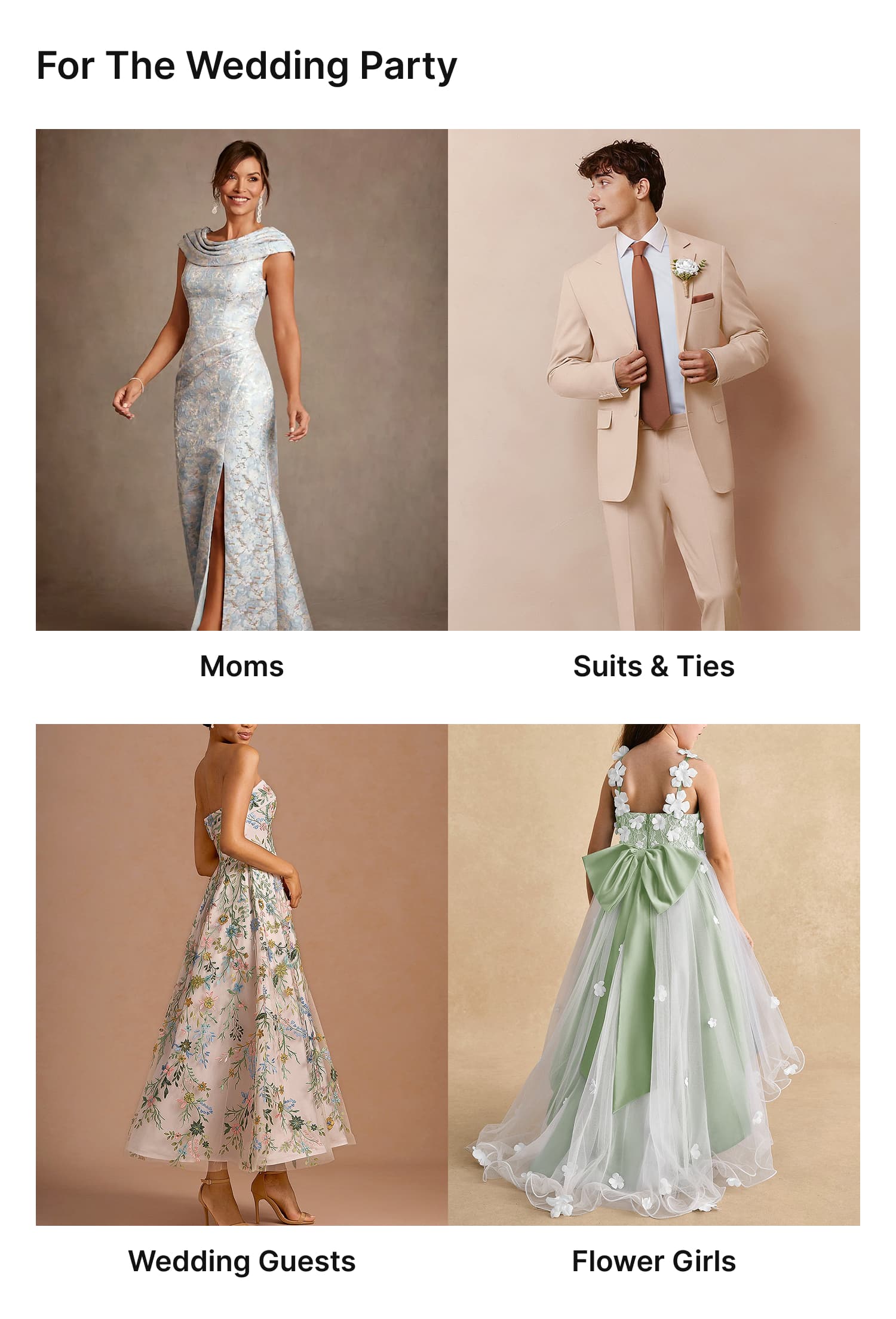 0305wdm6,link, image