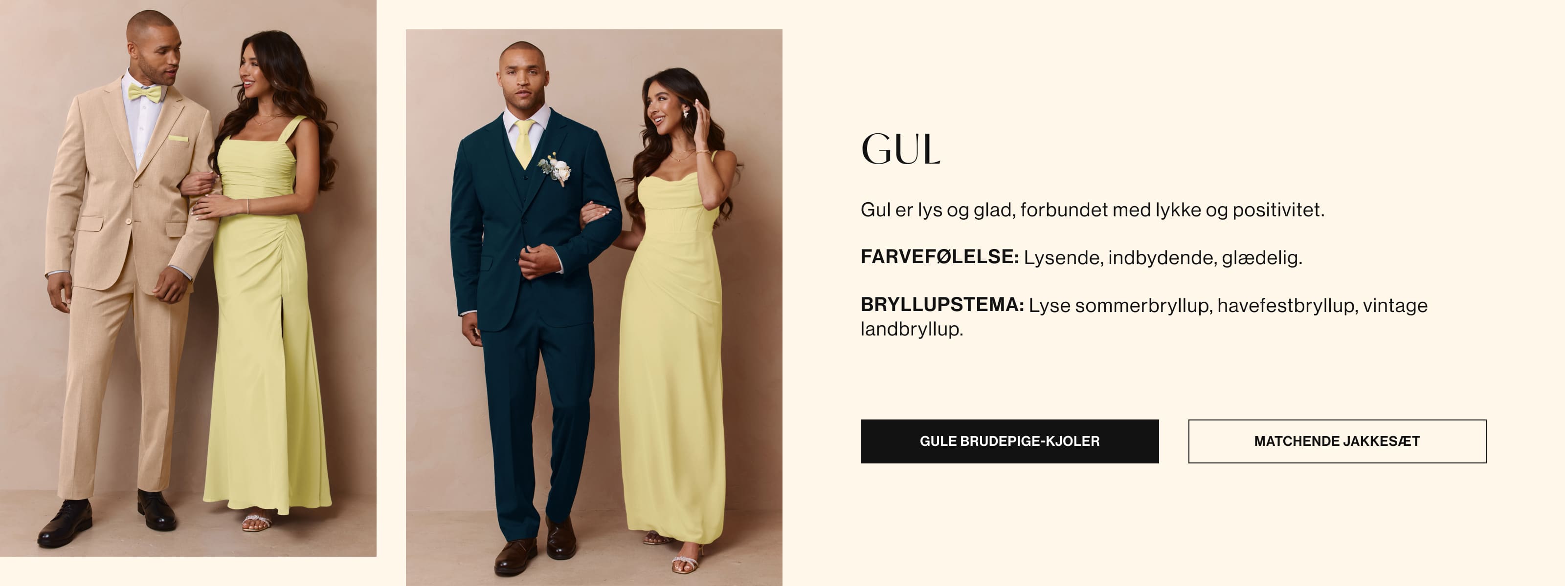 landingpage banner 0