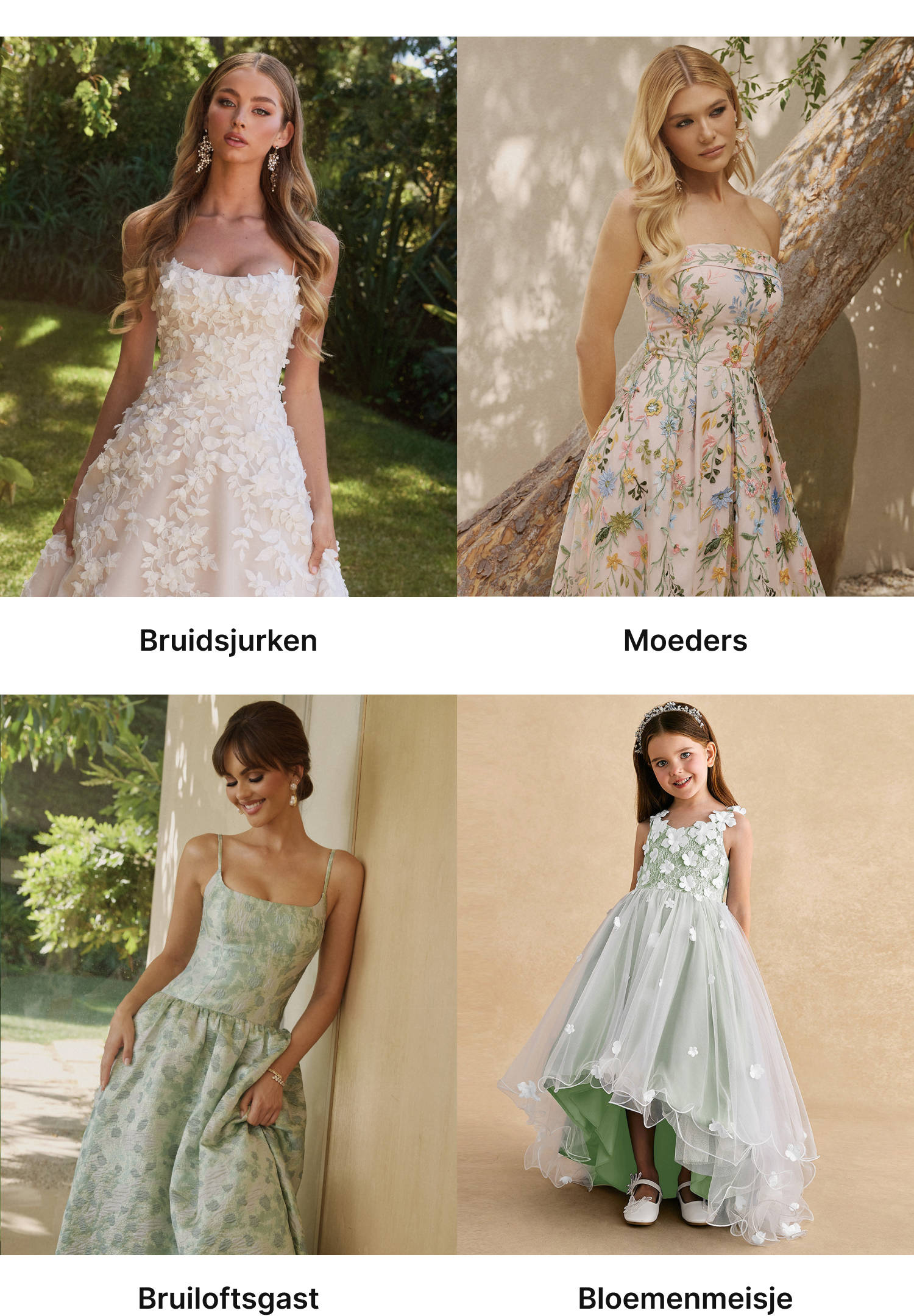 For The Wedding Party,link, image