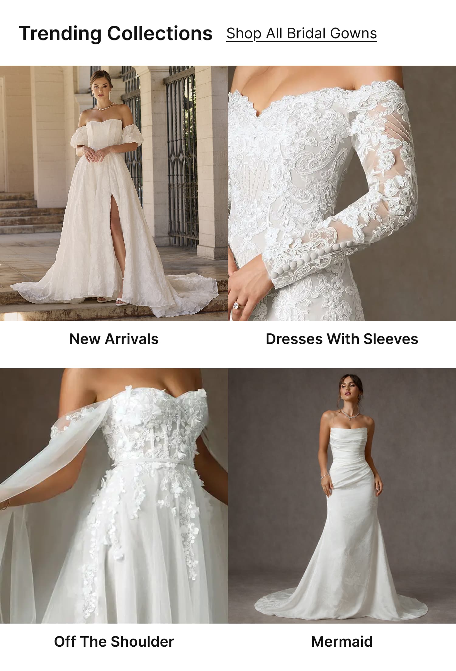 Trending Collections,link, image