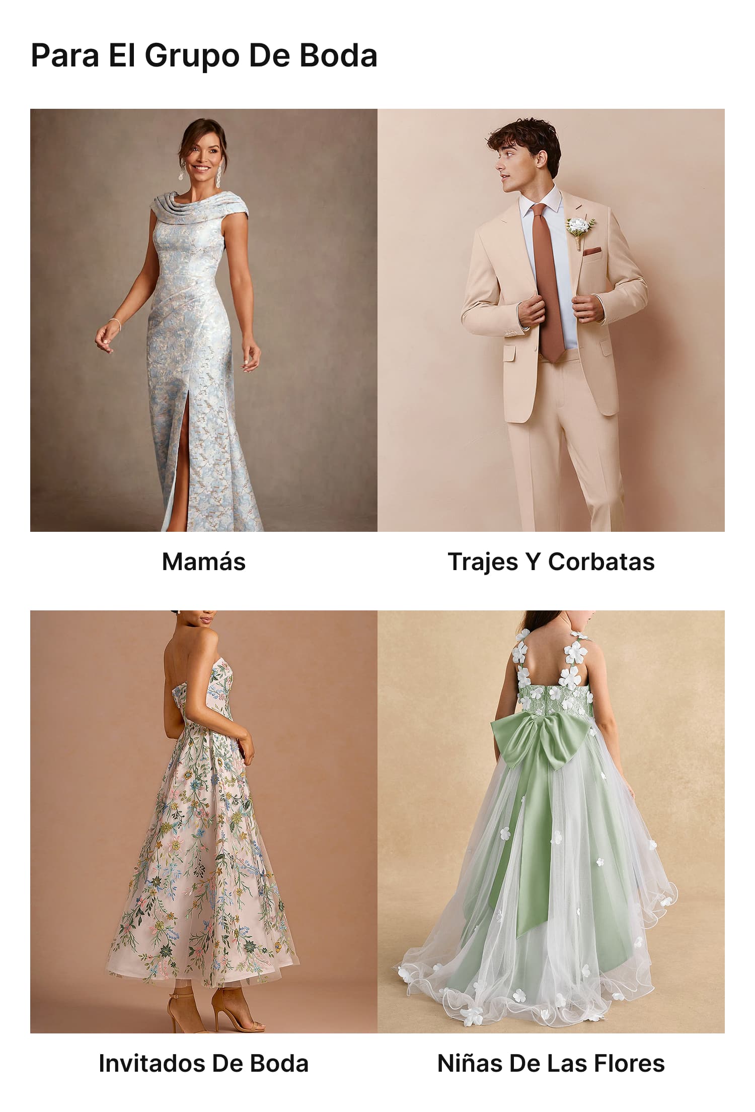 0305wdm6,link, image