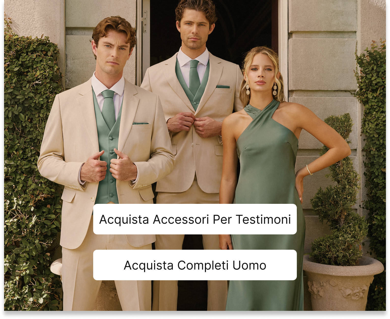 0123mensuit,link, image