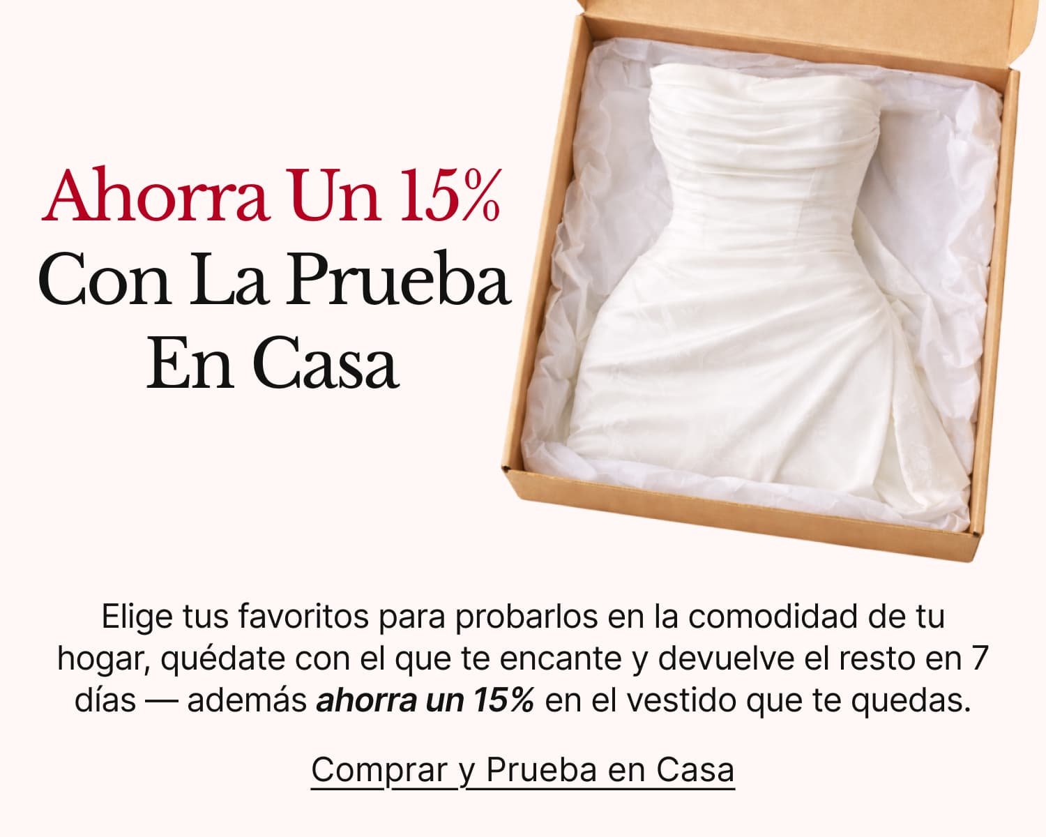 0305wdmtryon,link, image