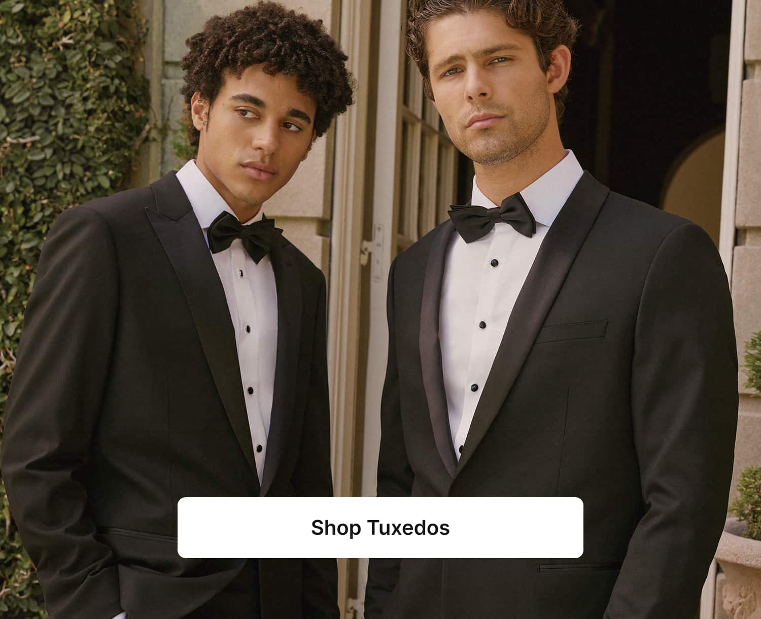 shop tuxedos,link, image